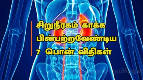 சிறுநீரகத்தைக் காக்கும் 7 பொன்விதிகள் (Kidney Health Science)