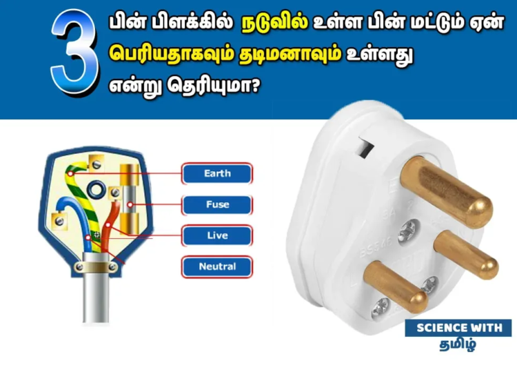 facts tamil news