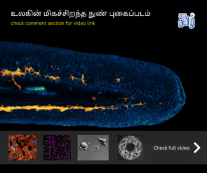 facts tamil news