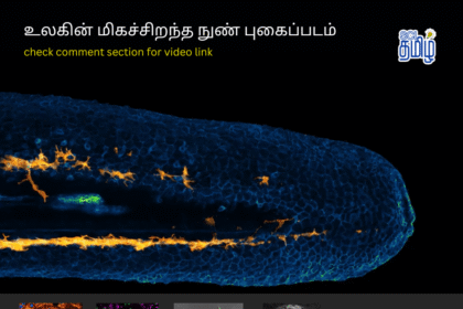 facts tamil news