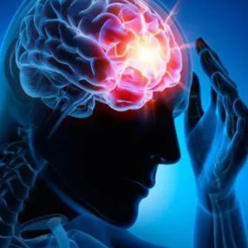 brain damage Facts தமிழில்