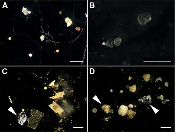 Microplastics in sediments