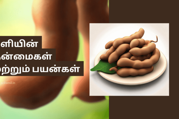 புளியின் நன்மைகள் மற்றும் பயன்கள்