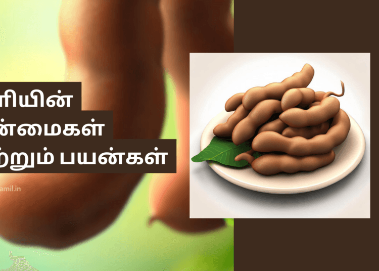 புளியின் நன்மைகள் மற்றும் பயன்கள்