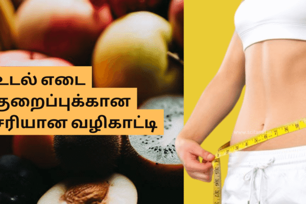 உடல் எடை குறைப்புக்கான சரியான வழிகாட்டி