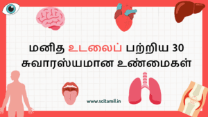 மனித உடலைப் பற்றிய 30 சுவாரஸ்யமான உண்மைகள்