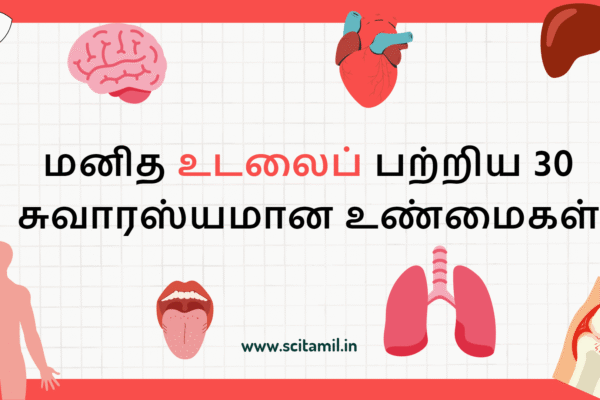 மனித உடலைப் பற்றிய 30 சுவாரஸ்யமான உண்மைகள்
