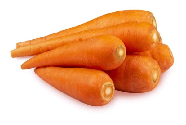 Carrot