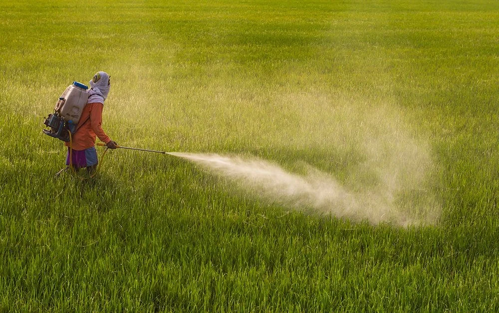 பூச்சிக்கொல்லிகளால் புரோஸ்டேட் புற்றுநோய் வருமா? (Pesticides Health)