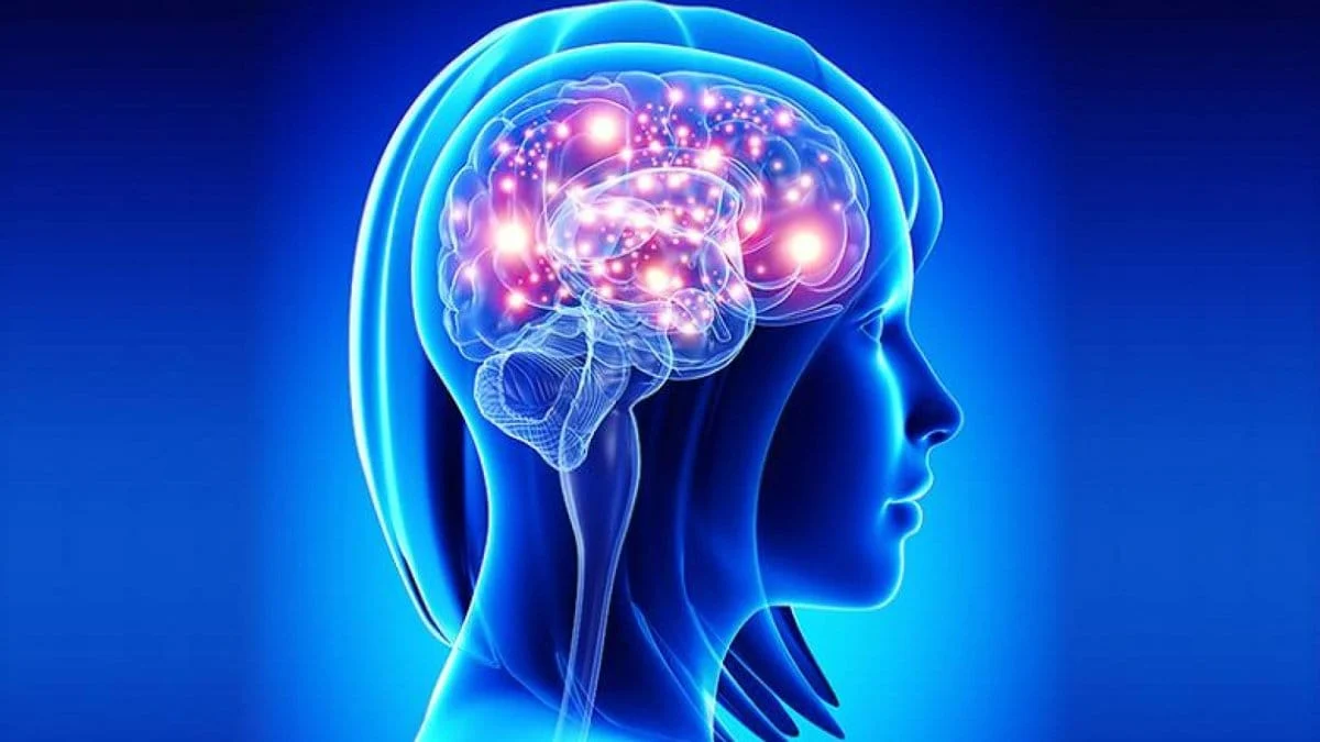 ஈறு அழற்சியால் அல்சைமர் மறதி வருமா? (Gum Disease and Alzheimer)
