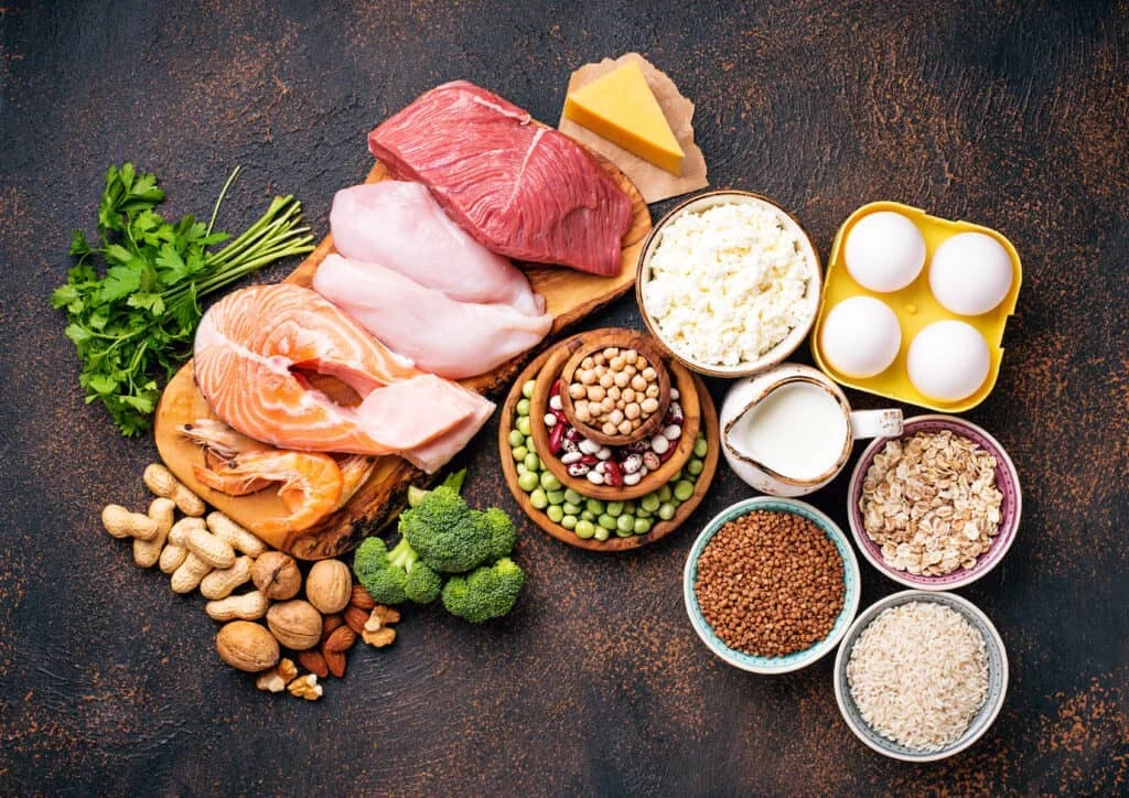 மனித உடலுக்கு புரதம் ஏன் மிக அவசியம்? (Protein Science Guide)